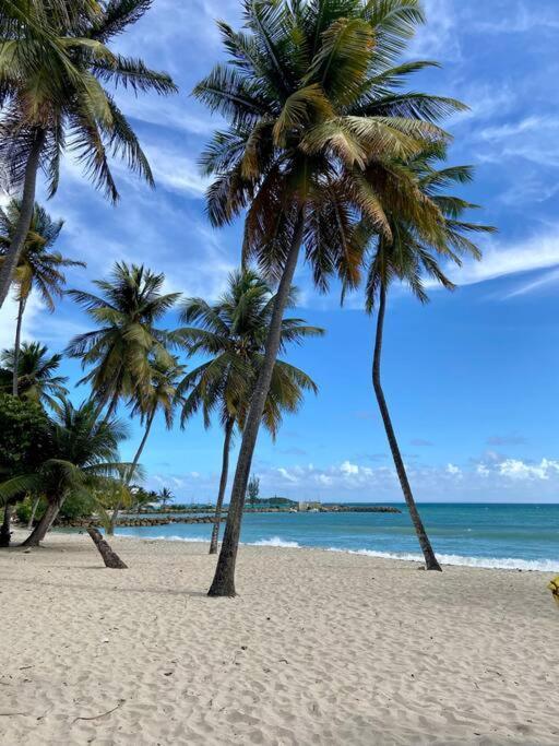 Le Calypso, Beachside Heaven Le Gosier (Grande-Terre) Exterior foto